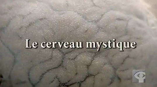 cerveau mystique
